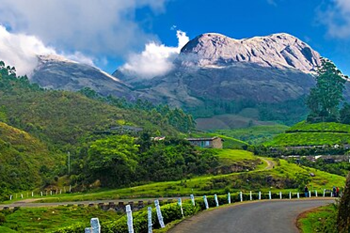 Discover Munnar's Top Attractions: Best Places to Visit in Kerala's Hill Paradise