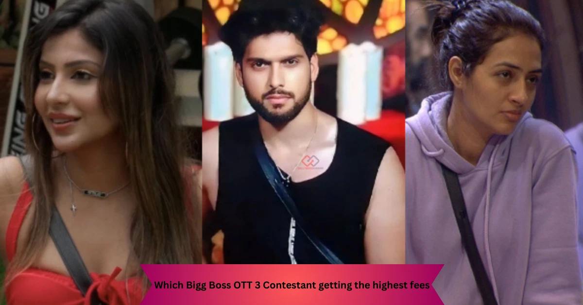 Which Bigg Boss OTT 3 Contestant gets the highest fees