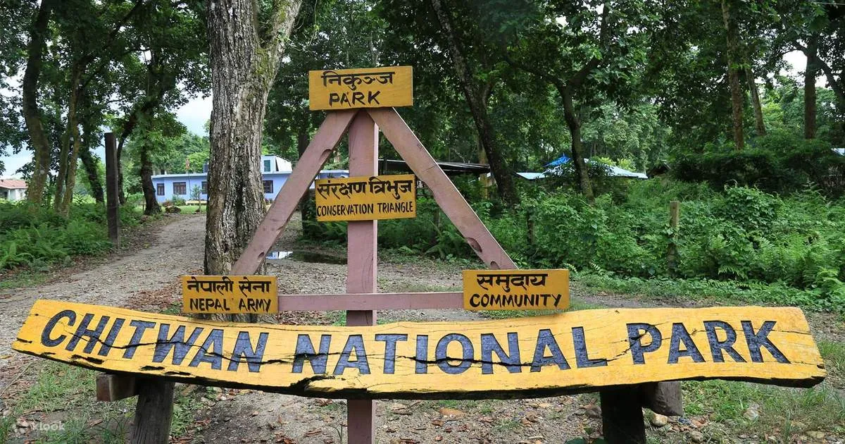 chitwan national park