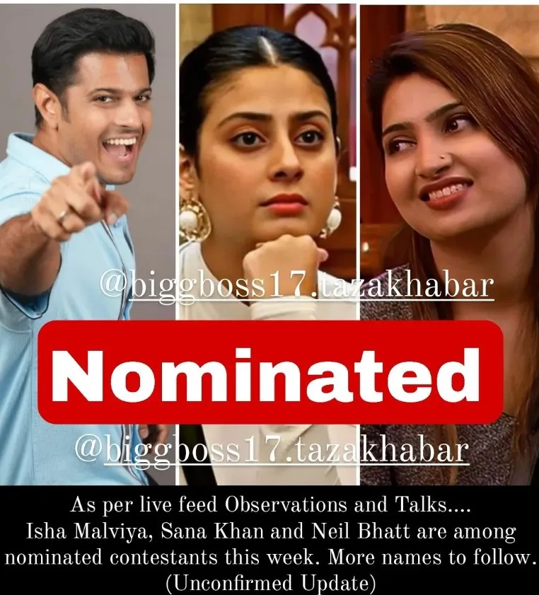 Bigg Boss 17 Nominated contestants