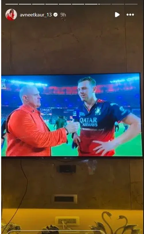 RCB celebrates first IPL title in Bengaluru